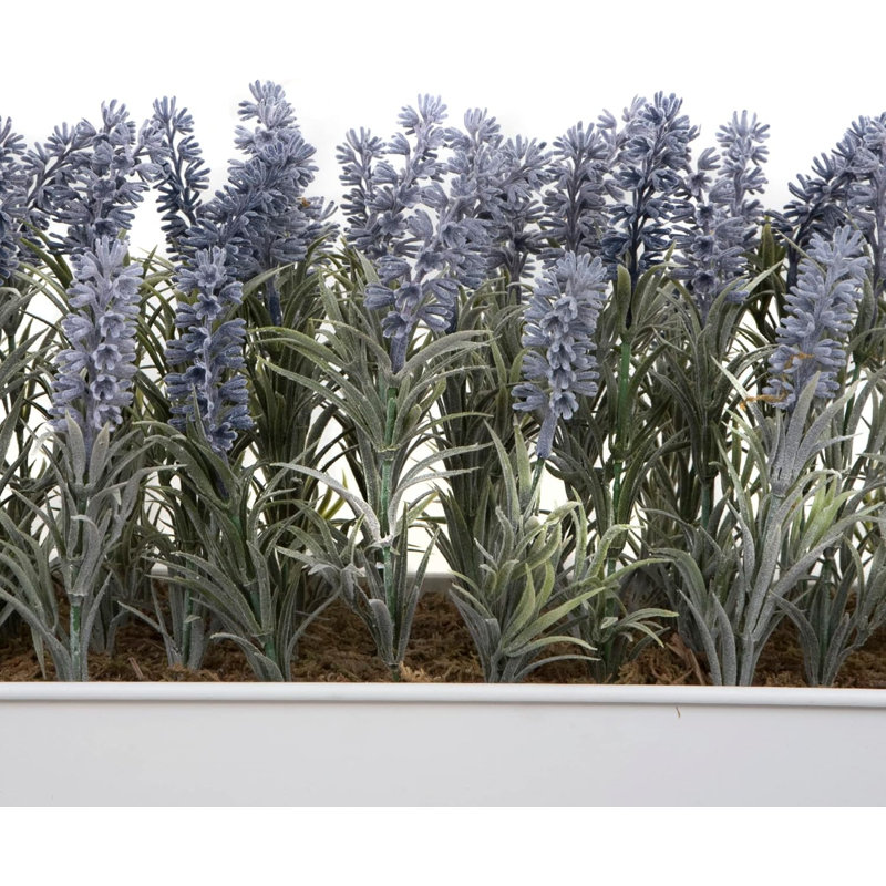 Lavender in Rustic Tin Planter (Window Box), 32.2cm H x 31cm W x 16.5cm D, White