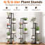 Plant Stand