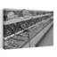 1950S, épicerie, section de viande, rétro, rétro, architecture urbaine, art mural-1891363608