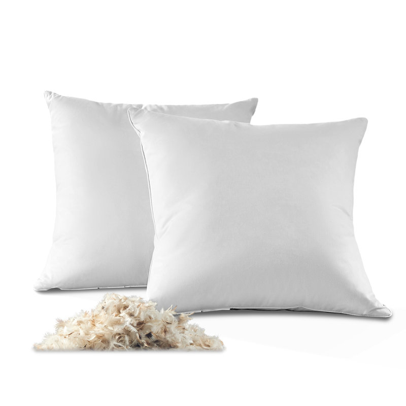 Down Feather Square Pillow Insert (Set of 2), 22"H x 22"W