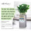 Plant Substrate-55087939