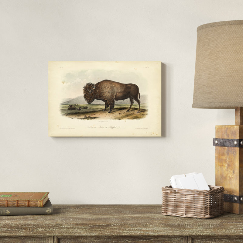 " American Bison " by James Audubon Painting Print, 12" H x 18" W x 1.25" D