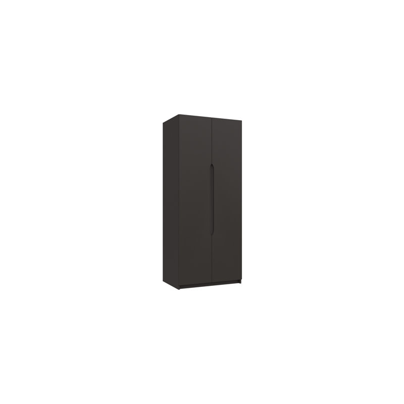 Alianys 2 Door Manufactured Wood Wardrobe, Graphite Gloss