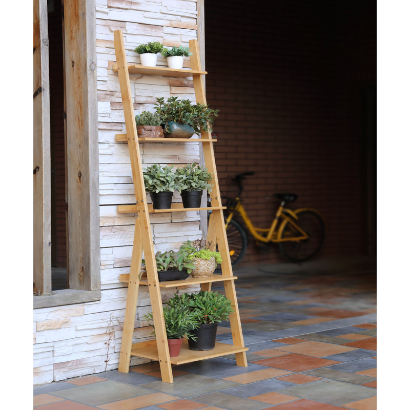 Leavie Ladder Bookcase