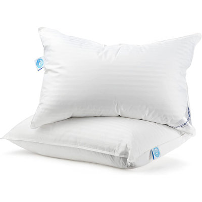 Down Medium Pillow