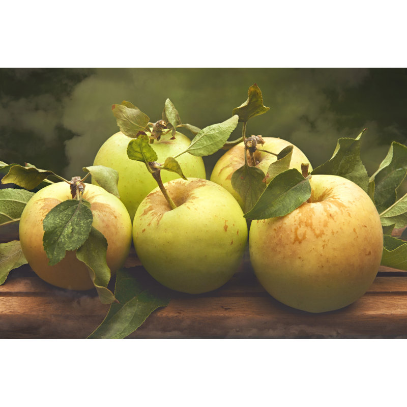 «Jills Green Apples I» par Rachel Perry, impression sur toile tendue, H 24 po x l 36 po x P 1,25 po