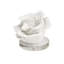 Cole And Grey Polystone Small Textured Coral Sculpture With Clear Acrylic Base