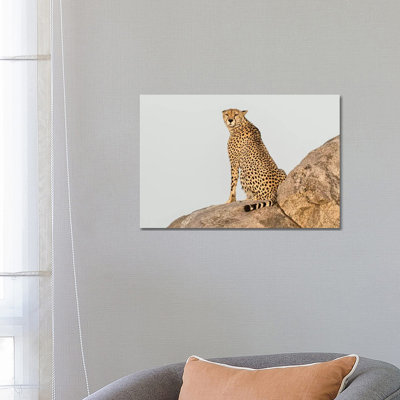 Africa, Tanzania, Serengeti National Park by Jaynes Gallery - Wrapped Canvas Print