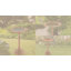 Bain d’oiseaux aideen-1759537340