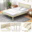 Argusta Bed-1602341995-1602341988
