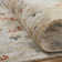 Rosemont Wool Oriental Area Rug in Ivory