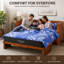 Lit escamotable Night & Day Furniture avec matelas en mousse à mémoire de forme et gel de 15 cm, format Queen, couleur cerisier