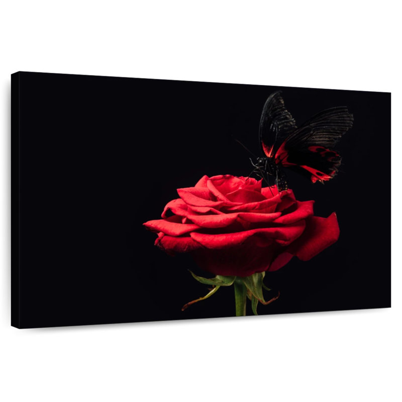 Harnek papillon embrassant la rose, H 16 po x l 24 po