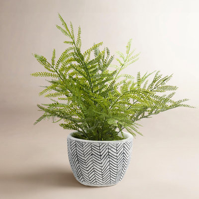 18" Fern Plant in Planter