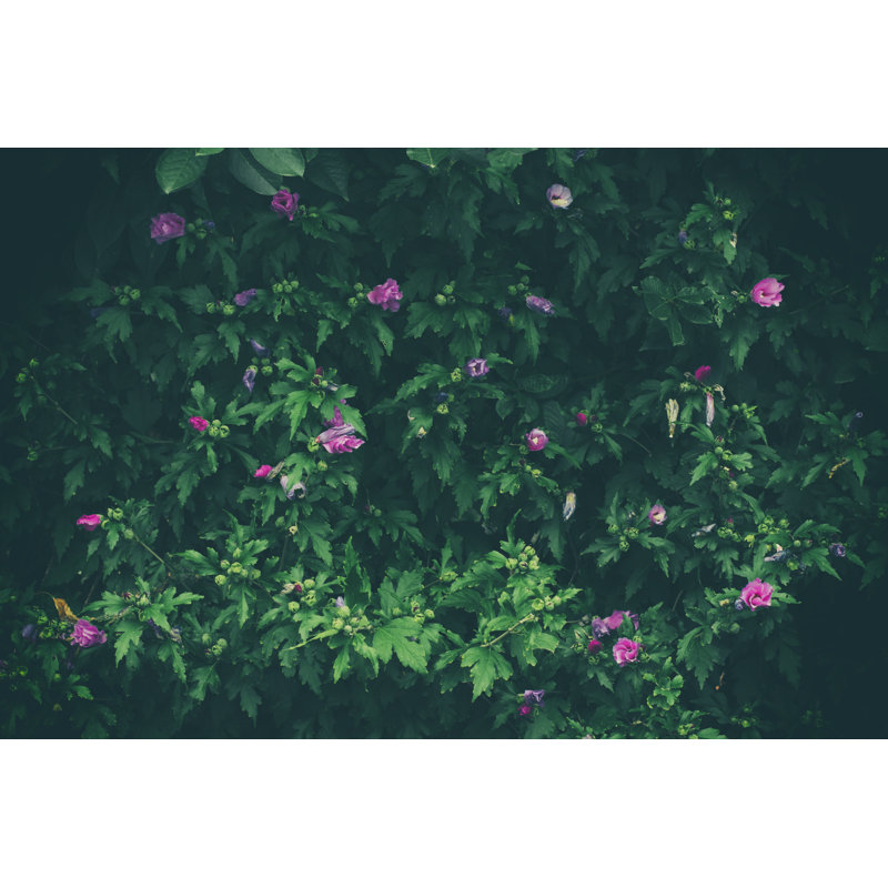 Floral Nature Wall - Wrapped Canvas Print, 20cm H x 30cm W x 3.8cm D