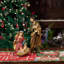 Christmas Nativity Set-2054378921