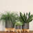 5" Planter W/ Wood Stand-1578032243