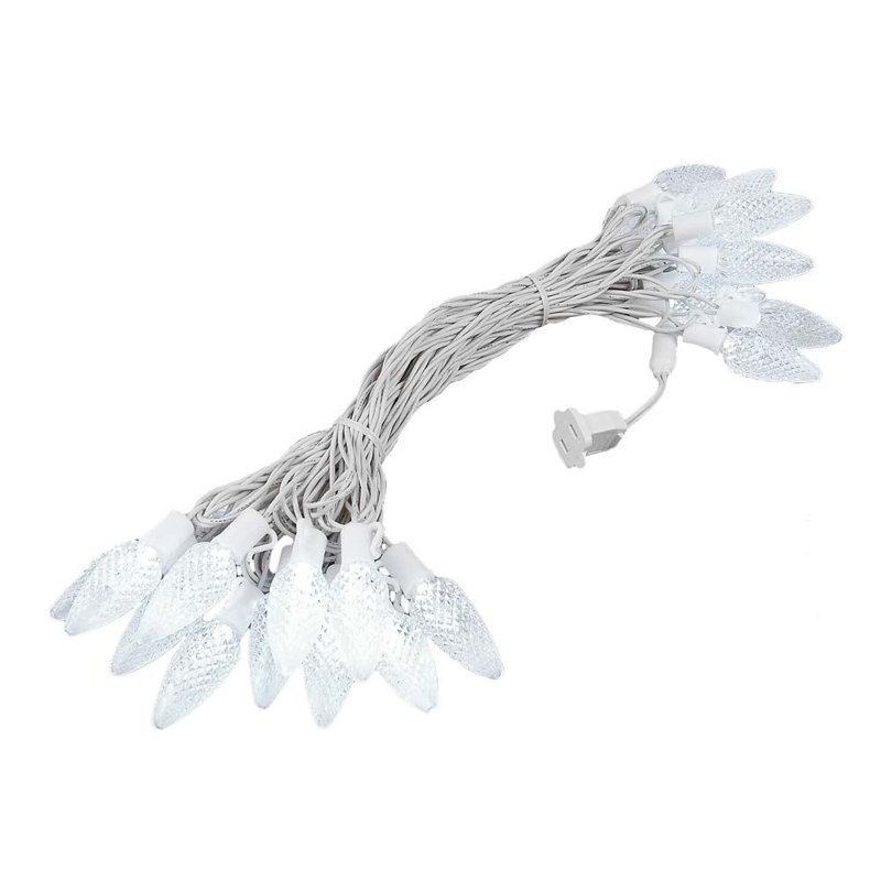 Speicher Outdoor 25 - Bulb 25'' Plug-in Novelty String Light, White, White/Clear
