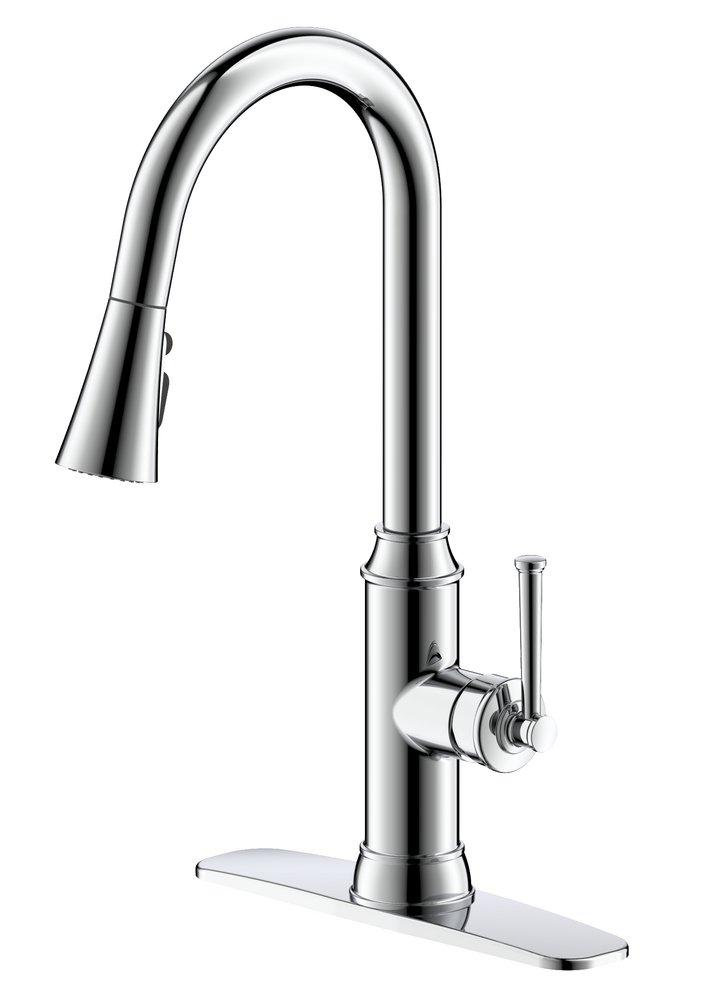Proflo Single Handle Pull Down Kitchen Faucet in Polished Chrome ...
