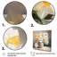 White Affodils Romantic Impression VI - Landscapes Canvas Print-795082932-795082935