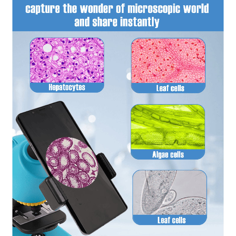 EasyMicro 40-640 Compound Microscope