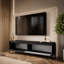 YASUMI two-door TV cabinet, matte black-159646735