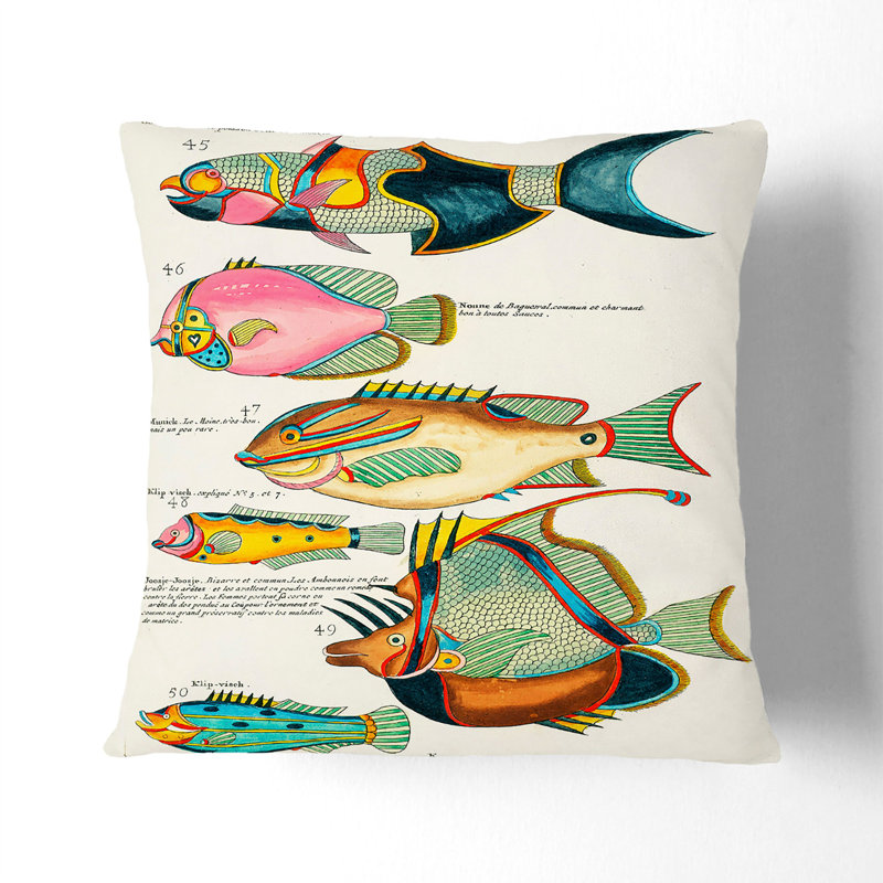 East Indies Fish Illustrations Dixieme K by Louis Renard Cushion with Filling, 40cm H x 40cm W x 15cm D, Stone