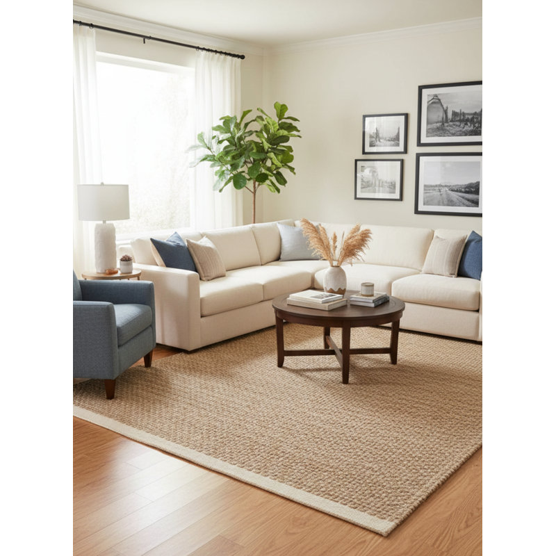 Cheviot Modern Farmhouse Handmade Natural Fiber Jute Indoor Area Rug with Cotton Backing, Rectangle 5' x 7'9"