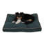 Coussin intérieur / extérieur pour chien-49685908-27271796