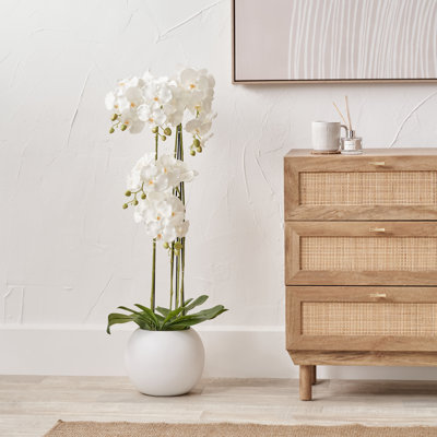 115 cm H Faux Plant in Cement Pot