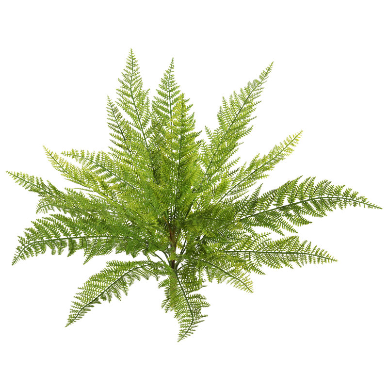 Buisson de fougère en dentelle artificielle, H 20 po x l 19 po x P 19 po