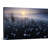 In the Blues by Andrew George Photographic Print on Canvas-577892142