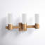 Tremper 3 Light Frosted Dimmable Vanity Light