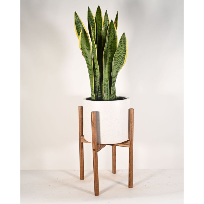 Pot à fleurs en céramique Heitman, Miel