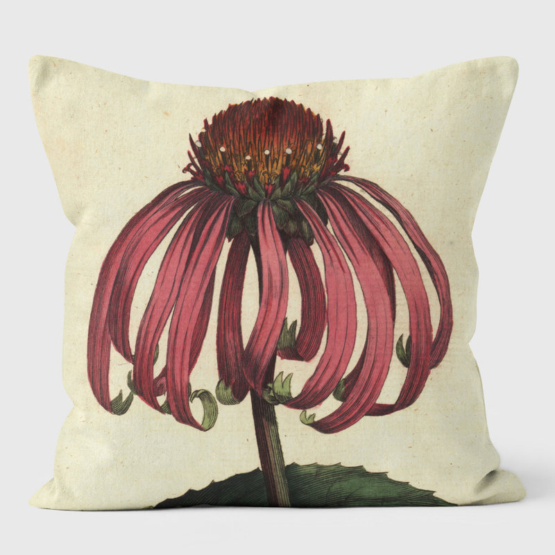 Echineacea Purpurea - Botanical Cushion