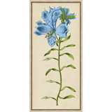 Vintage Floral Etching 5 Print