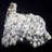 Calcite, Chalcopyrite and Dolomite. Sweetwater Mine