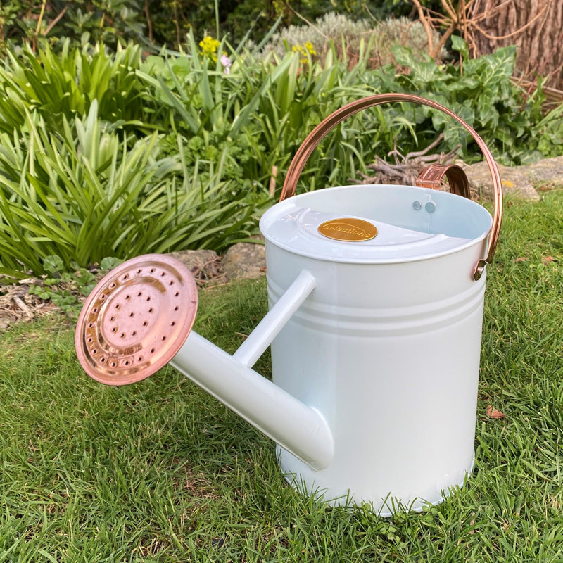Metal Watering Can, Ivory