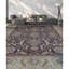 Sultanabad Hand-Knotted High-Quality Brown and Gold Area Rug