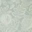 Cantaloupe Wallpaper-50889016