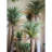 Faux Palm Tree in Pot-2111387654