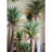 Faux Palm Tree in Resin Pot-13162064