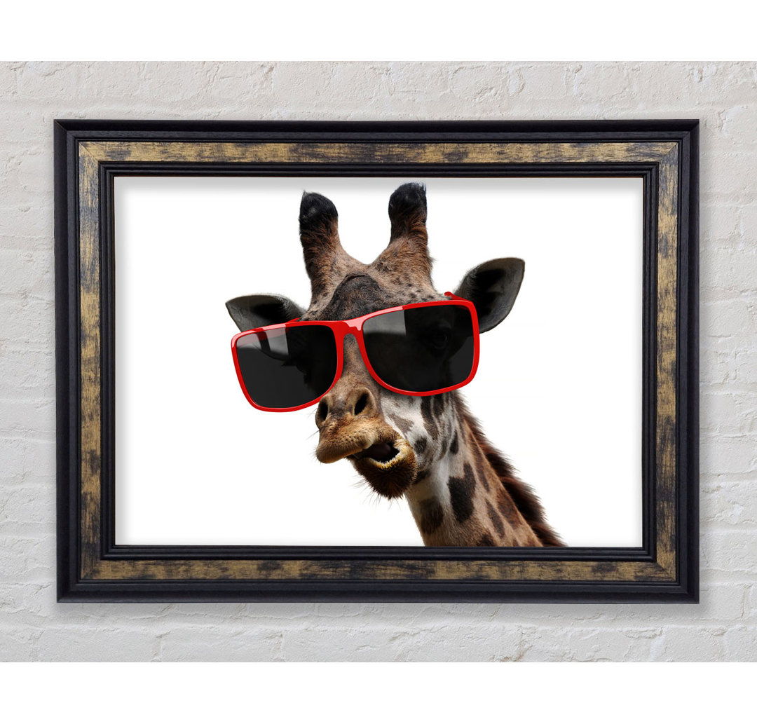 Funky Faced Giraffe Gerahmter Druck Wandkunst