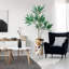 66 plantes-97700202