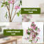 120cm Plant