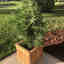 Customer photo 2 of 2
