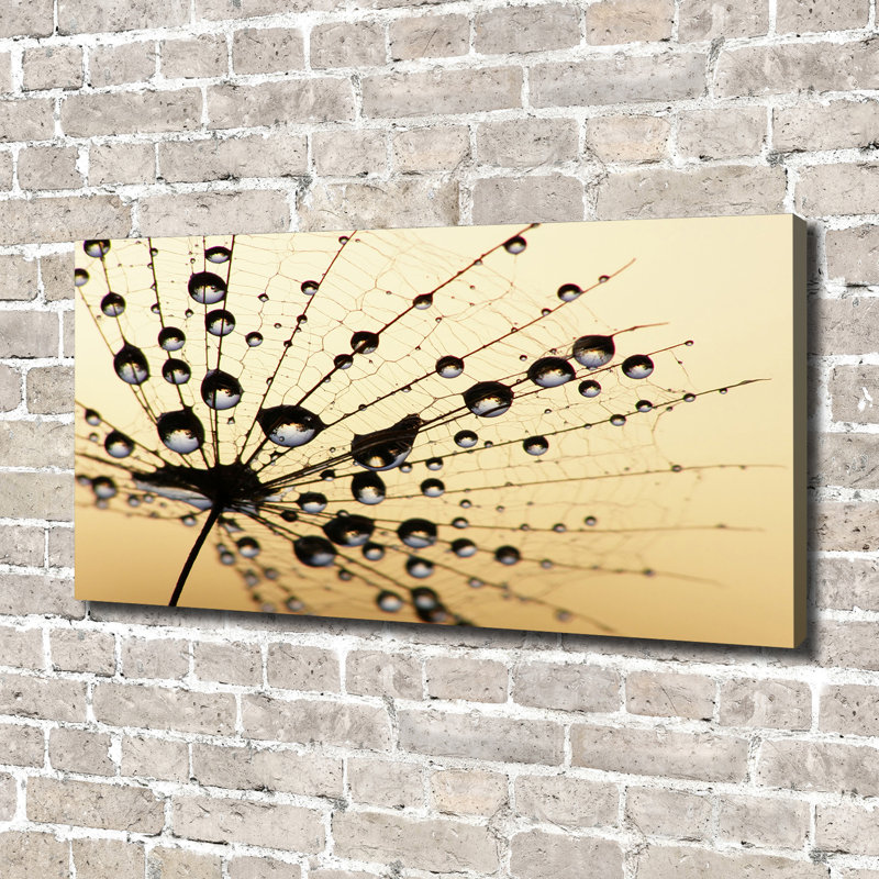 The Dandelion Was Sown - Wrapped Canvas Print