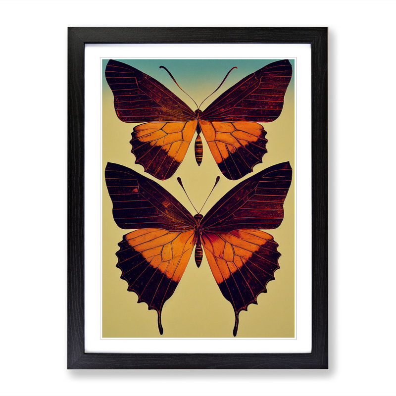 Butterfly Collage - Single Picture Frame Print, Black Framed, 64cm H x 46cm W