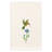 3 Piece 100% Turkish Cotton Hada Embellished Towel Set-342808539