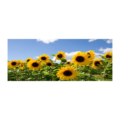 Sunflowers - Wrapped Canvas Print